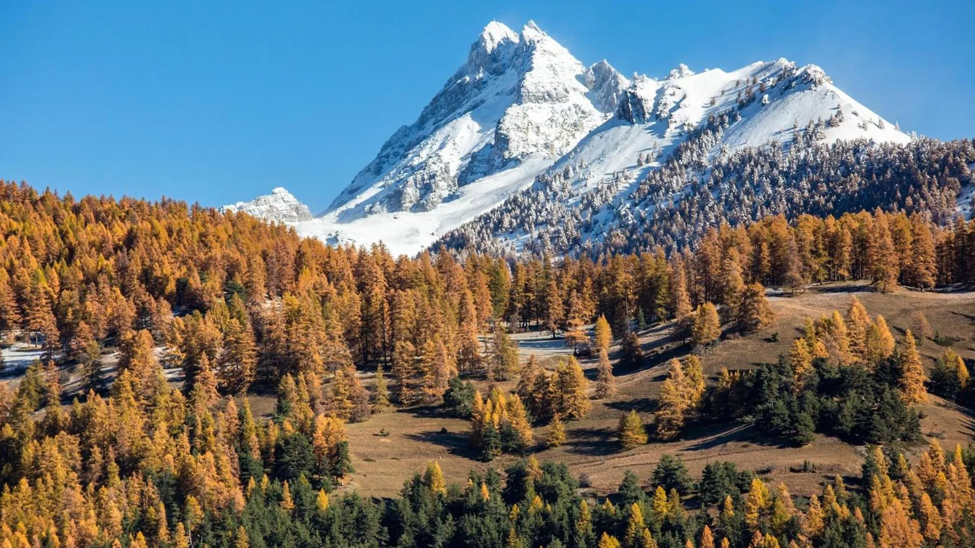 La Casse Deserte Arvieux 2*,  France